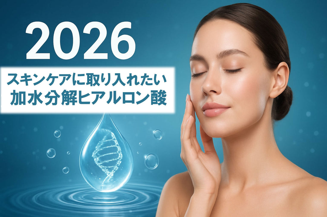 スキンケアに取り入れたい 加水分解ヒアルロン酸徹底ガイド2026