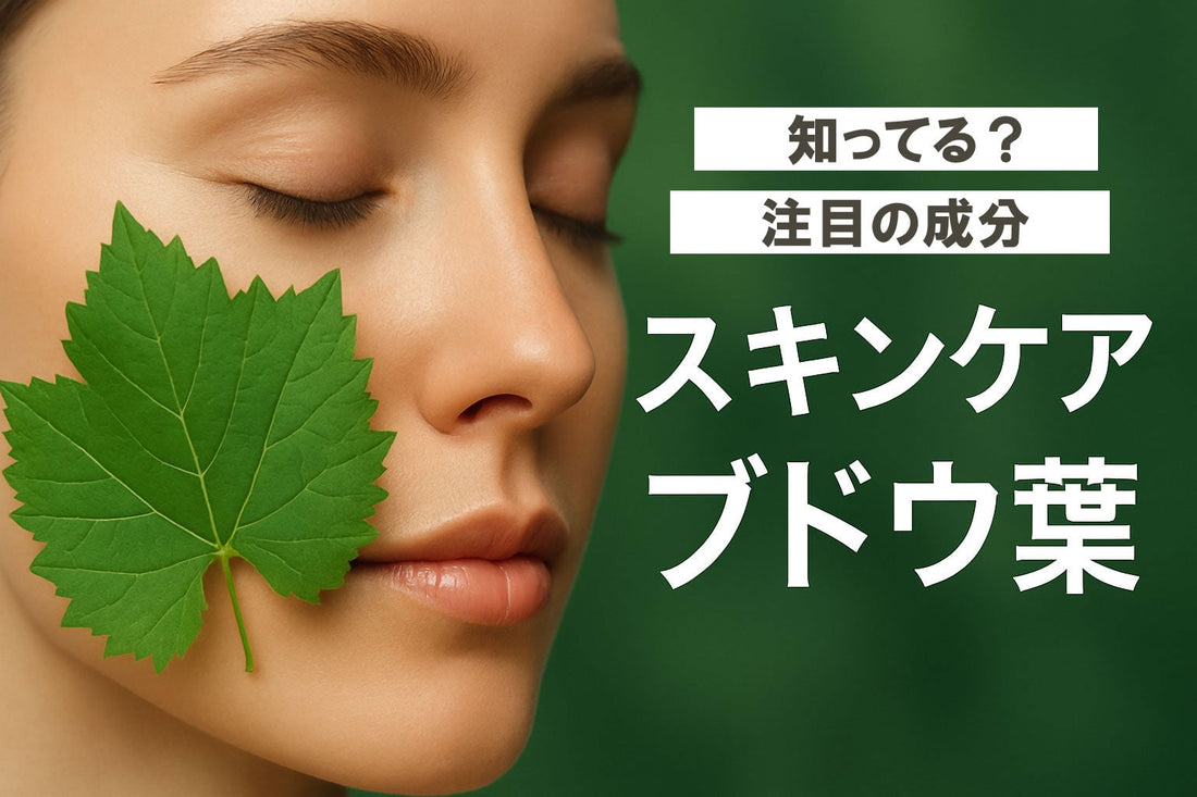スキンケア ブドウ葉徹底ガイド：2026年最新情報