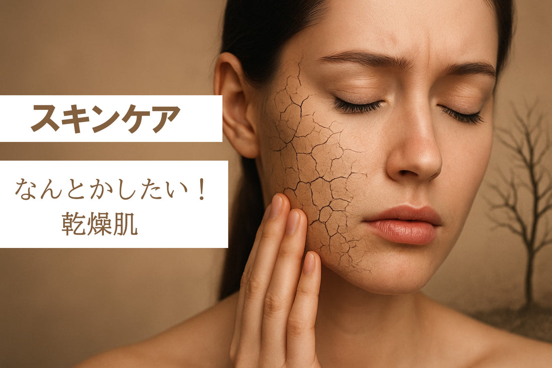 スキンケア 乾燥肌ケア 【2026年版】