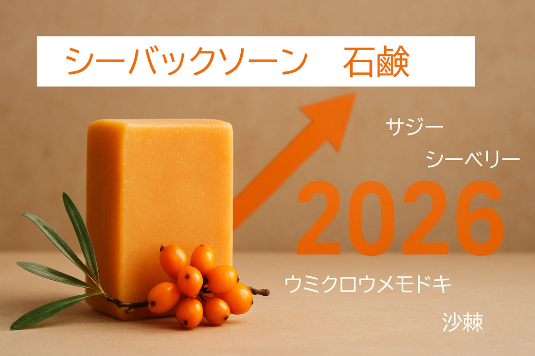 シーバックソーン 石鹸 徹底ガイド：2026年の最新情報