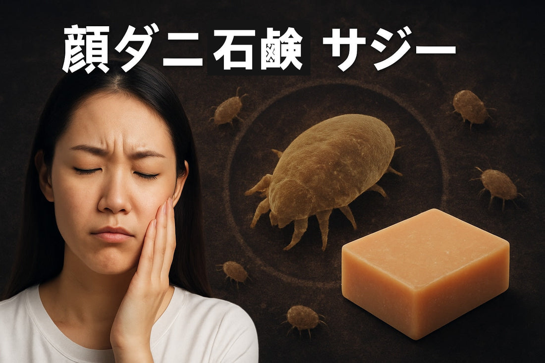 顔ダニ石鹸 サジー徹底ガイド：2026年最新の使い方