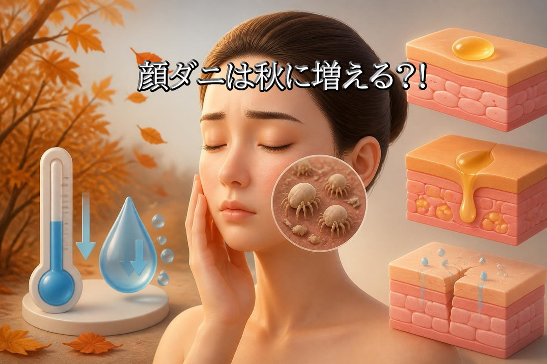 顔ダニが秋に増える理由とおすすめのケア方法【2026年最新版】