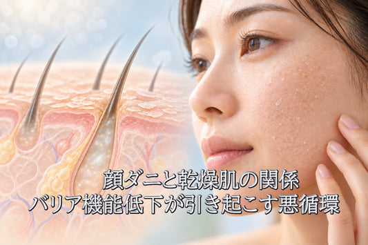 顔ダニと乾燥肌の関係：バリア機能低下が引き起こす悪循環