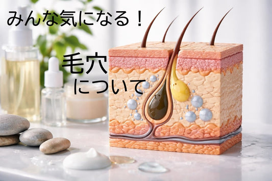 毛穴ケアの科学的アプローチと実践方法【2026年版】