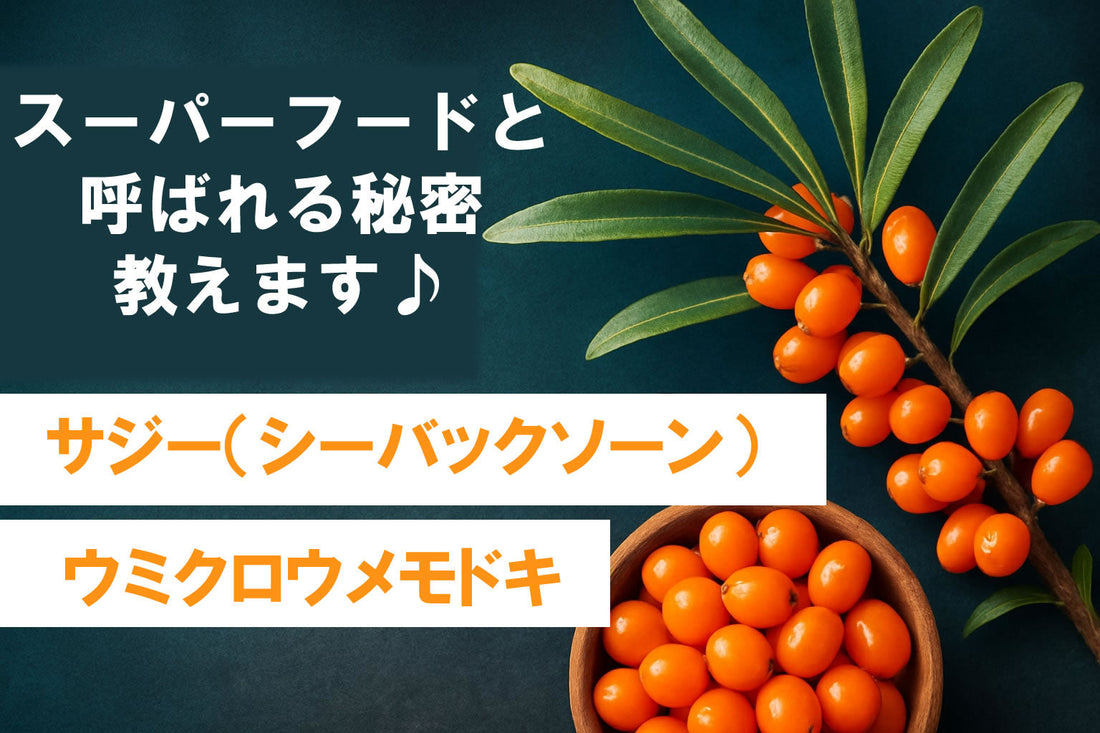 スーパーフード 「サジー(ウミクロウメモドキ)」の 徹底ガイド2026
