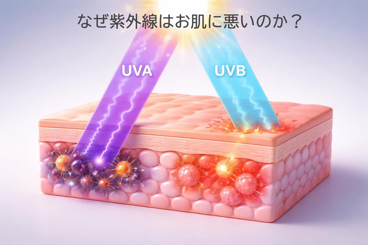 なぜ紫外線はお肌に悪いのか？そのメカニズムと対策を解説
