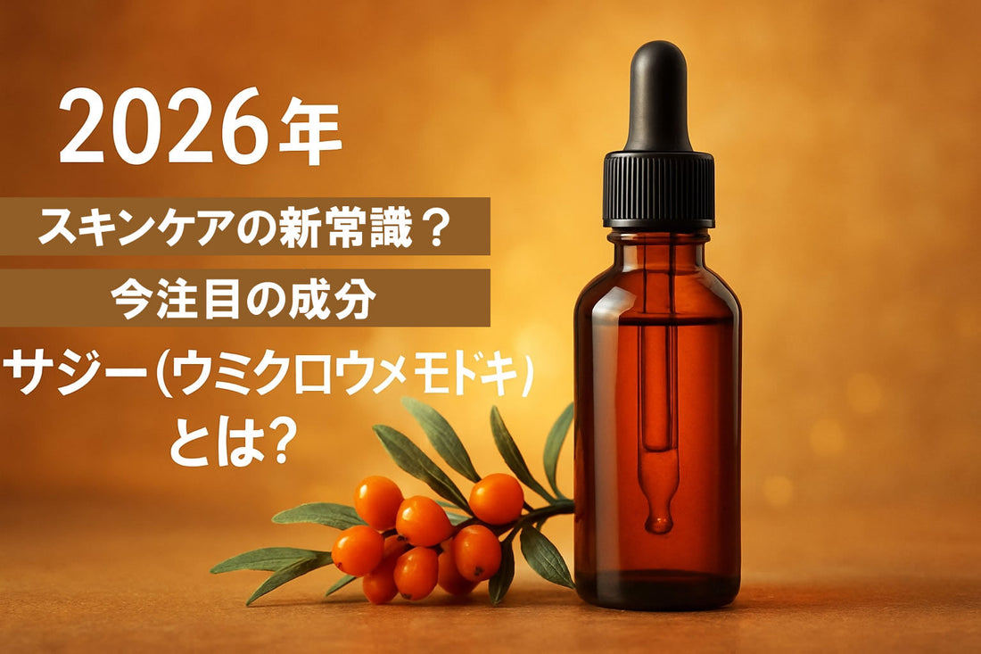スキンケア サジー ウミクロウメモドキ徹底ガイド2026