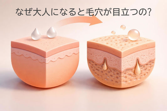 なぜ大人になると毛穴が目立つの?原因と対策を徹底解説