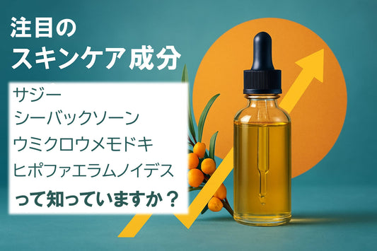 今大注目のスキンケア成分 「サジー」（ヒポファエラムノイデス・ウミクロウメモドキ）完全ガイド 2026