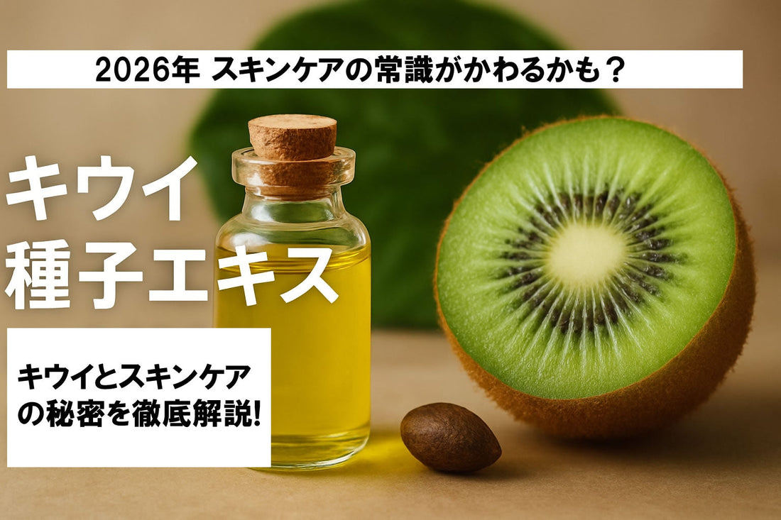 スキンケア キウイ種子エキス徹底ガイド【2026年版】