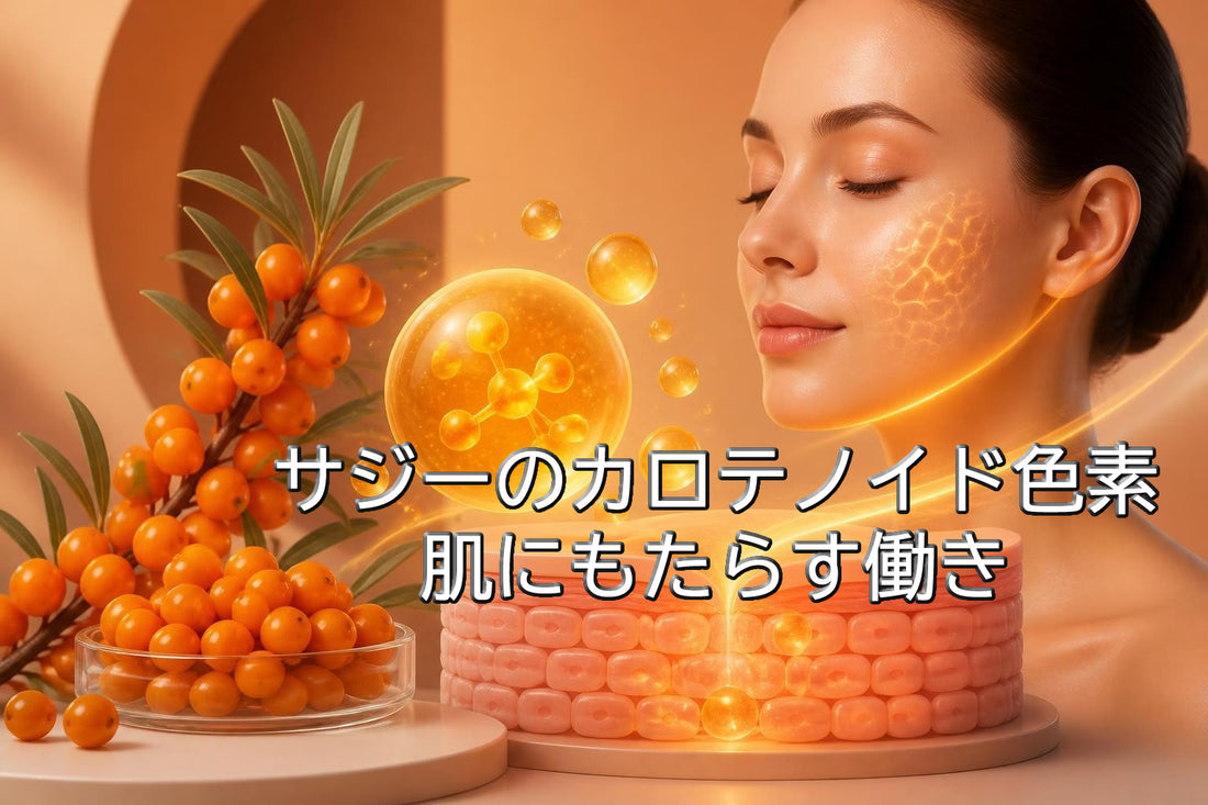 サジーのカロテノイド色素が肌にもたらす働きと美容活用法