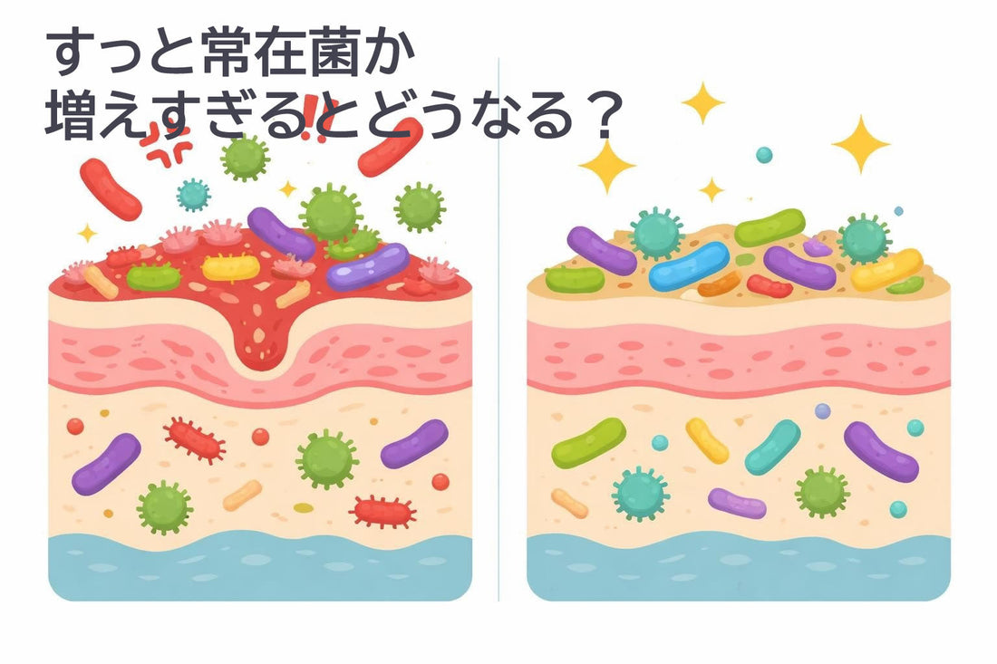 ずっと常在菌が増えすぎるとどうなる？肌と体への影響を詳しく解説