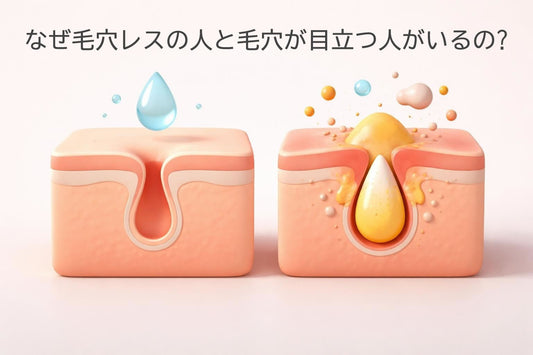 なぜ毛穴レスの人と毛穴が目立つ人がいるの?原因と対策を解説