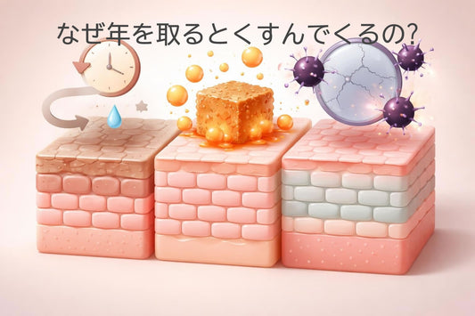 なぜ年を取るとくすんでくるの?肌が老化する科学的理由と対策