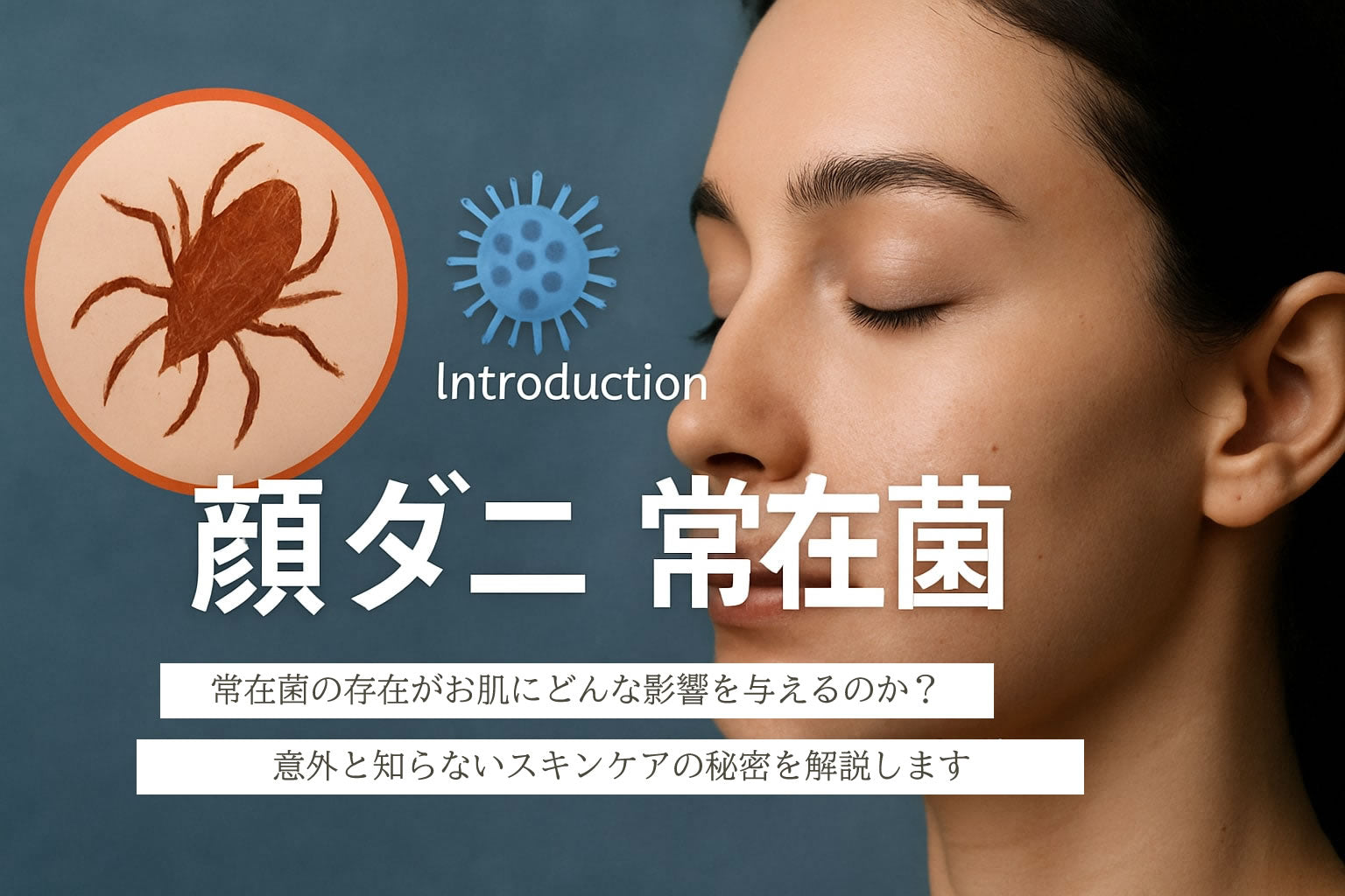 顔ダニ 常在菌ガイド:2026年最新知識と対策 – Face D Premium フェイスDプレミアム ショップ