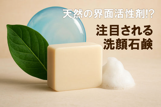 洗顔石鹸は天然界面活性剤!? 今注目されるお肌に優しい天然界面活性剤の洗顔石鹸！ 2026年版
