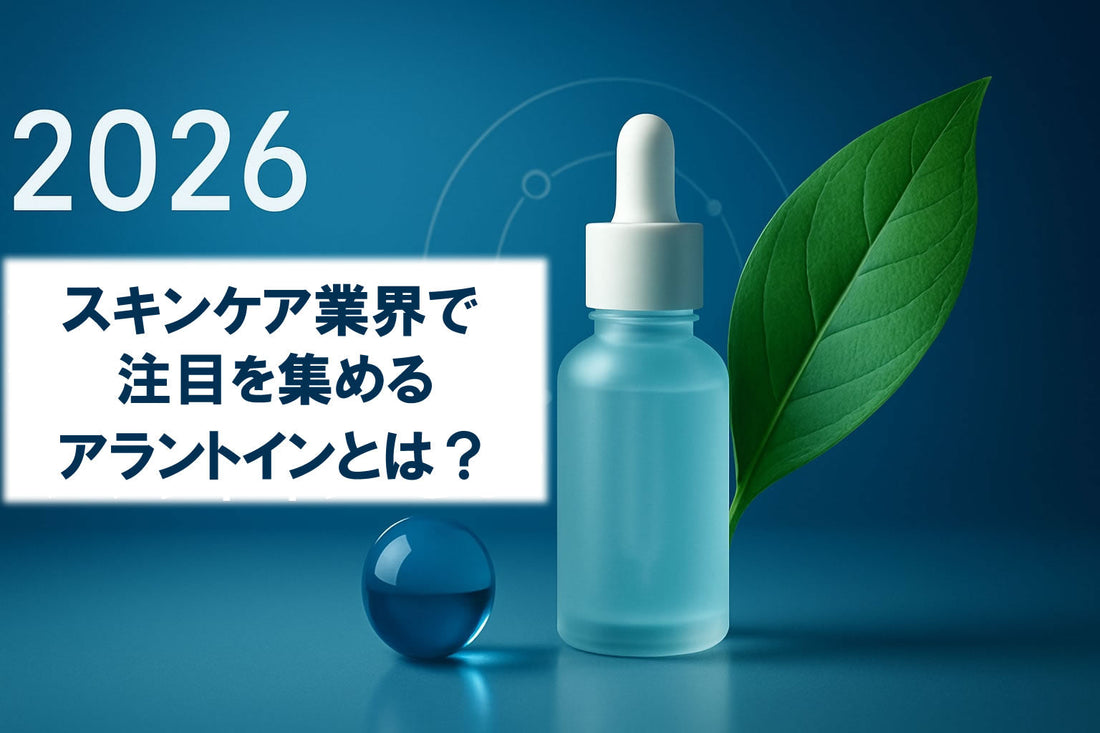 スキンケア アラントイン徹底ガイド：2026年最新情報