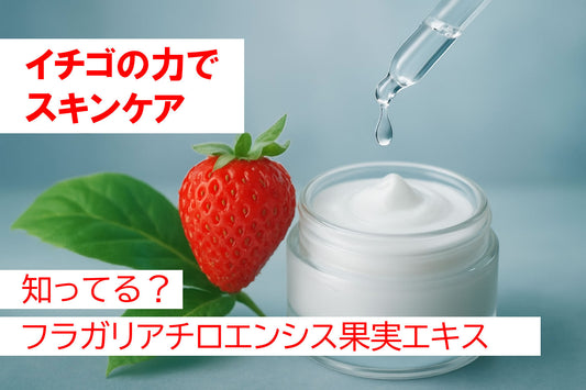 スキンケア フラガリアチロエンシス果実エキス徹底ガイド2026