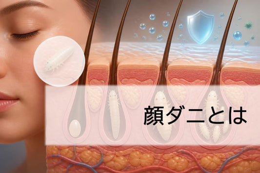 顔ダニとは|皮膚に潜む寄生虫の正体と対策