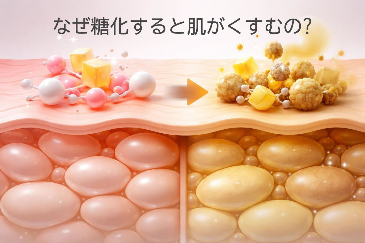 なぜ糖化すると肌がくすむの?メカニズムと対策を徹底解説 – Face D Premium フェイスDプレミアム ショップ