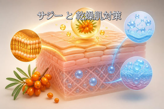 サジー 乾燥肌｜保湿成分の科学と実践的スキンケア戦略