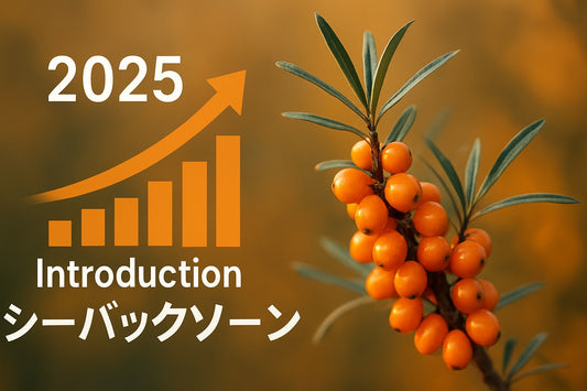 シーバックソーン完全ガイド：初心者のための活用法2025