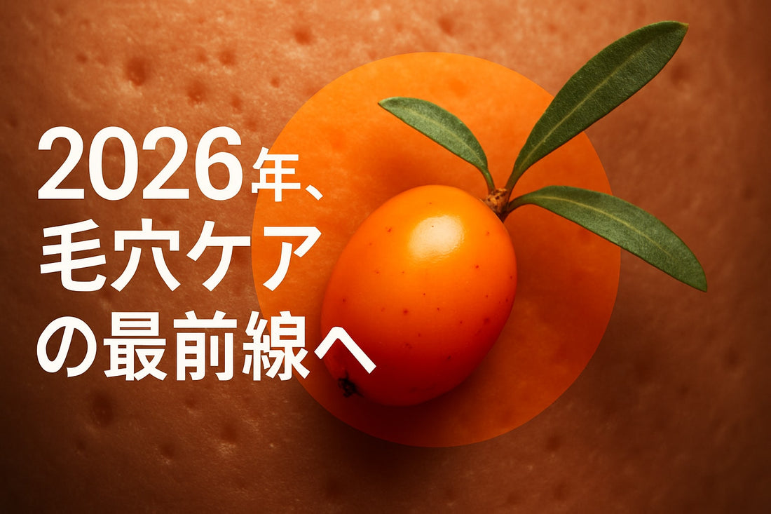 サジー ウミクロウメモドキ 毛穴ケアガイド：2026年完全攻略
