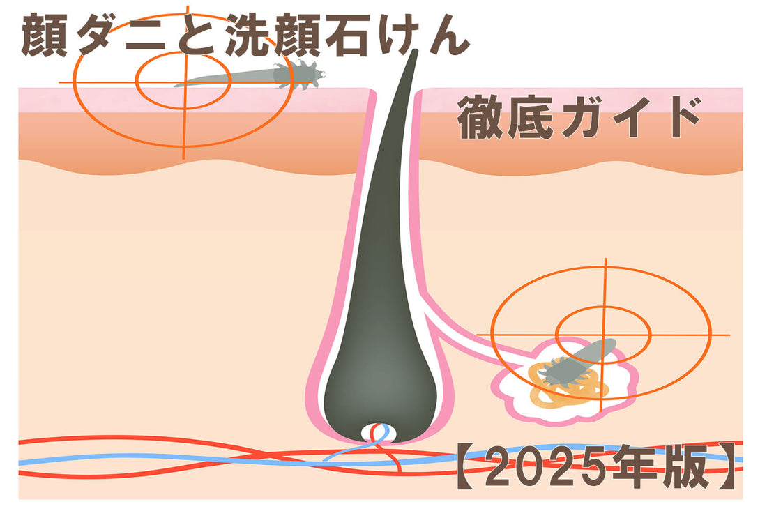 顔ダニと顔ダニ石鹸【2025年度】
