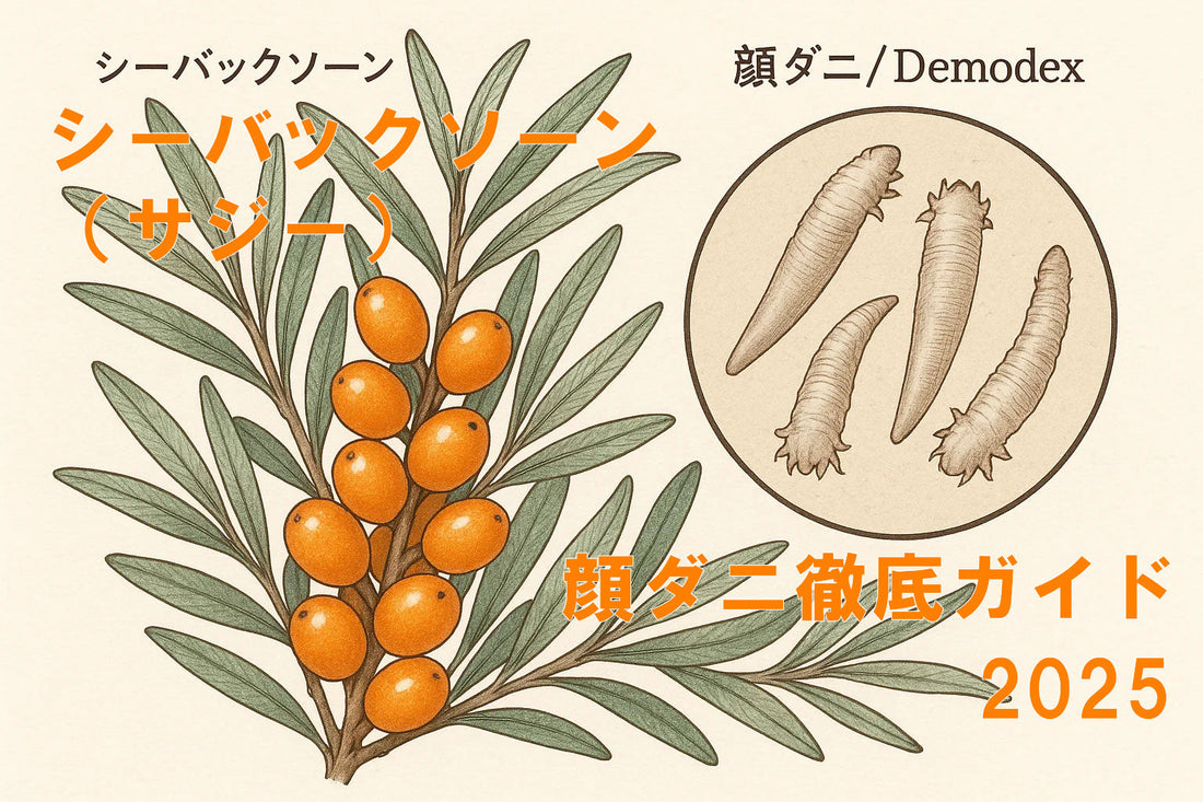 シーバックソーン（サジー） 顔ダニ徹底ガイド：初心者向け2025年版