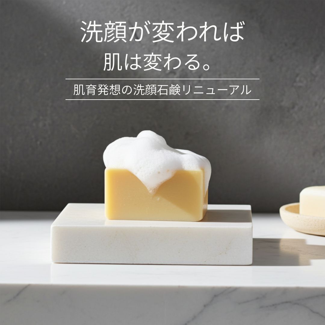 顔ダニ（ニキビダニ）について | フェイスDプレミアム ショップ | 顔