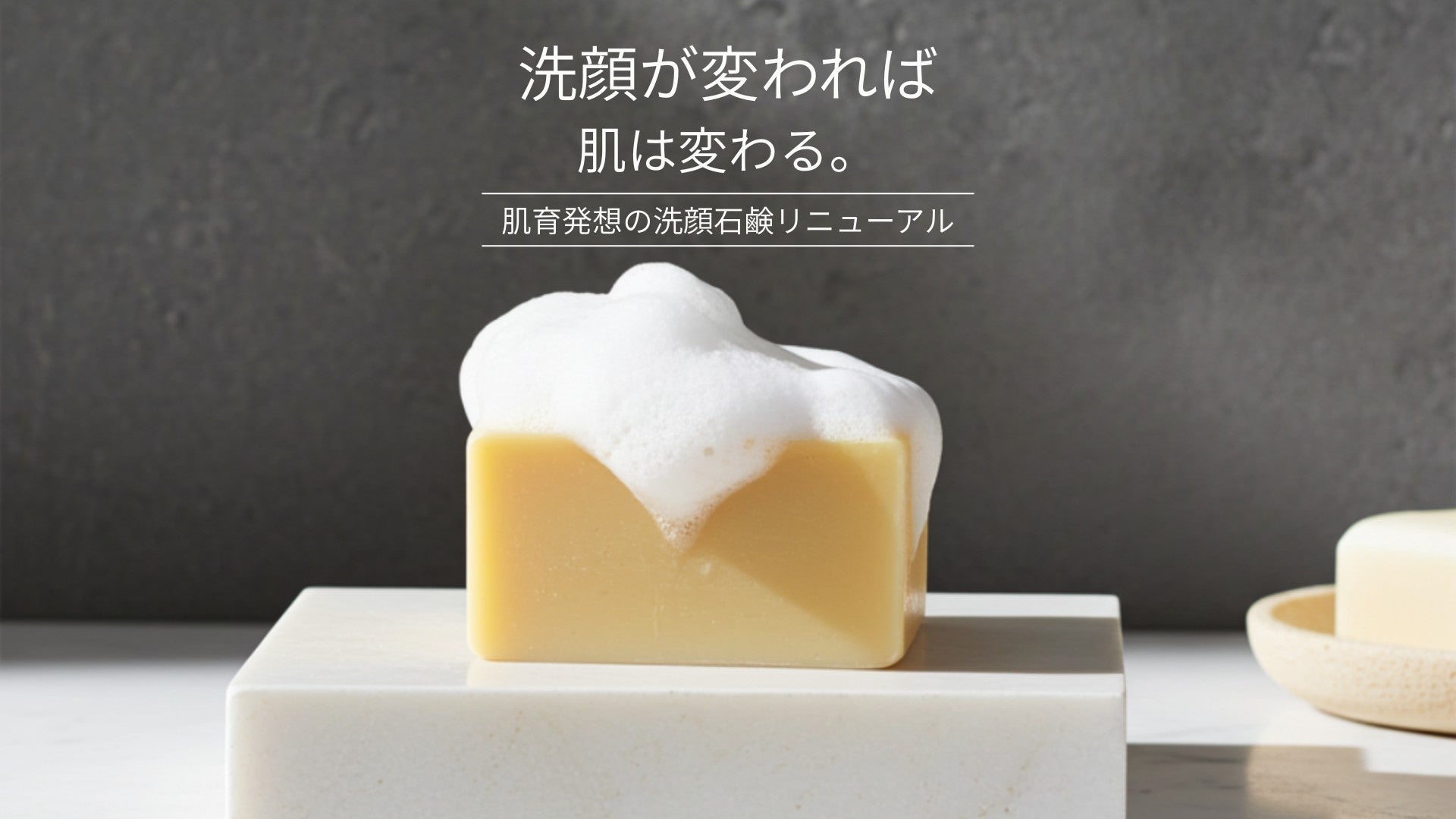Face D Premium フェイスDプレミアム ショップ | 洗顔石鹸・顔ダニケア